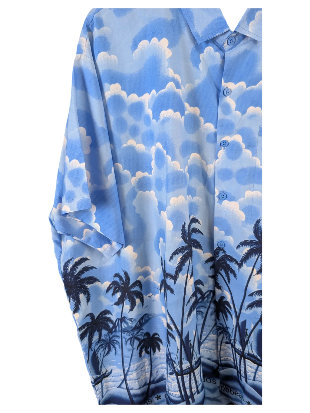 JAKE & IPI blue Hawaiian shirt featuring a scenic print of palm trees and a cloudy sky
