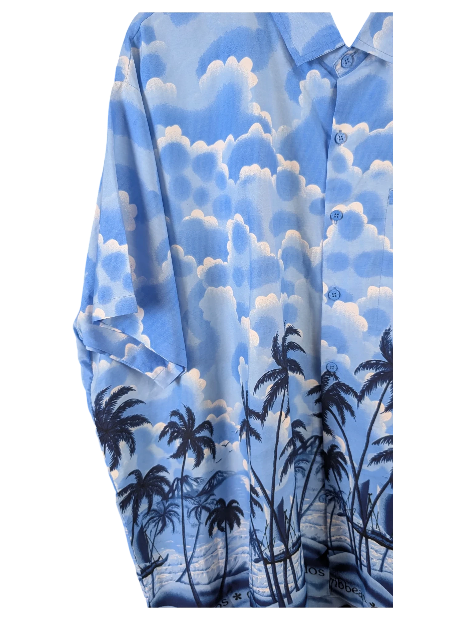 JAKE & IPI blue Hawaiian shirt featuring a scenic print of palm trees and a cloudy sky