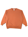 JAKE & IPI Acne Studios brown crewneck sweatshirt in soft cotton with long sleeves and ribbed cuffs