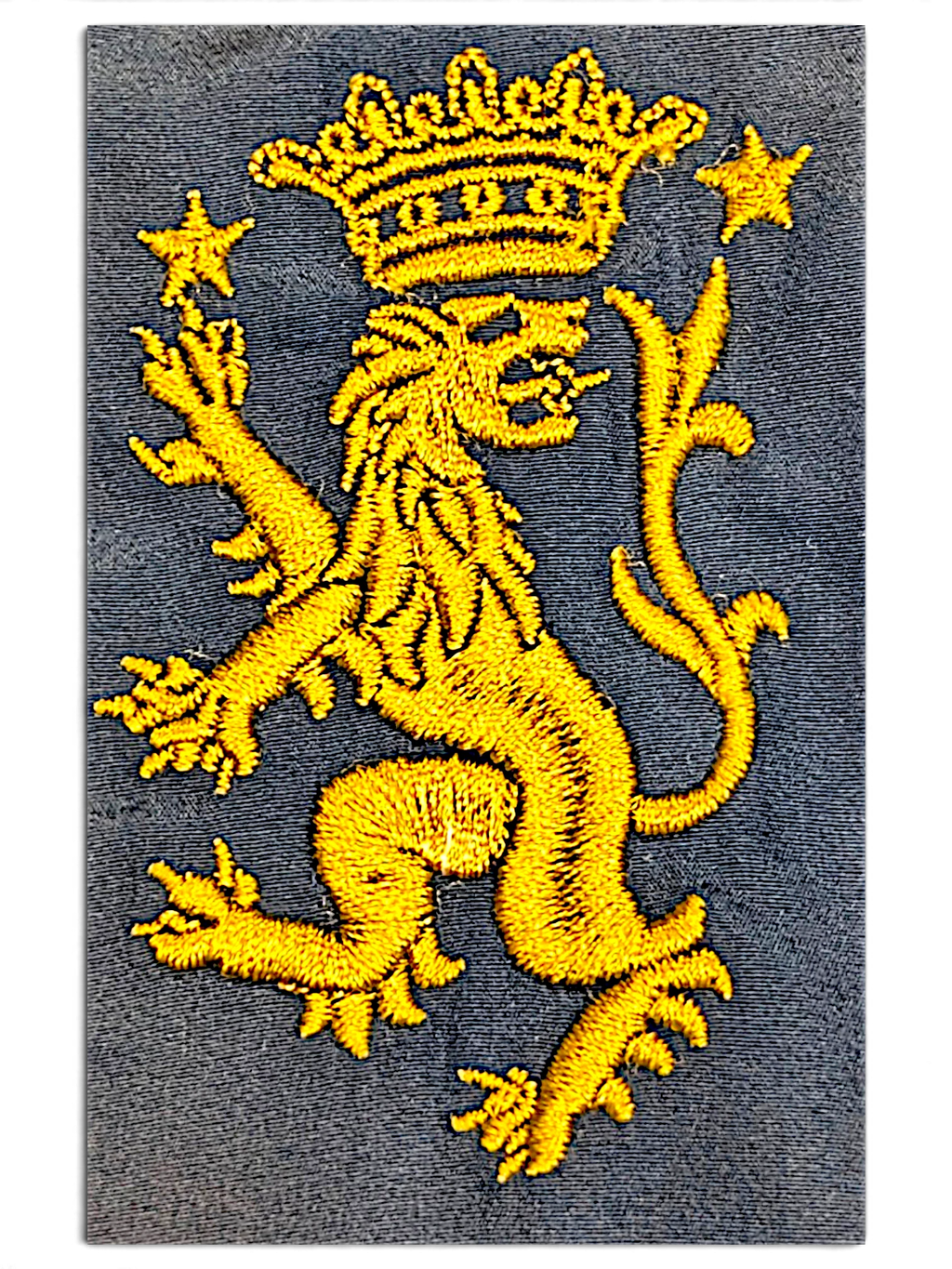 JAKE & IPI Umbro navy track pants featuring a detailed yellow embroidered lion crest with a crown