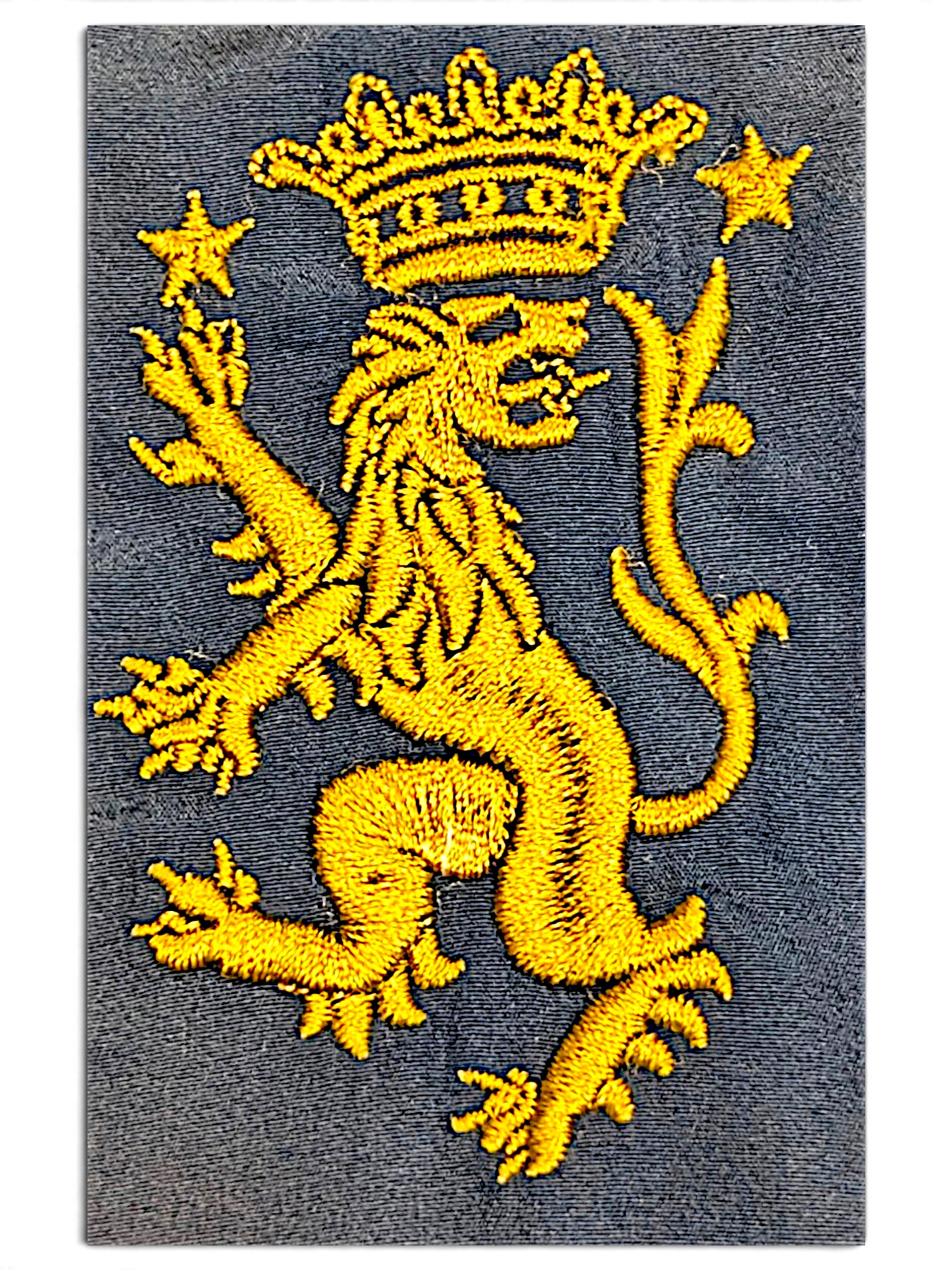 JAKE & IPI Umbro navy track pants featuring a detailed yellow embroidered lion crest with a crown