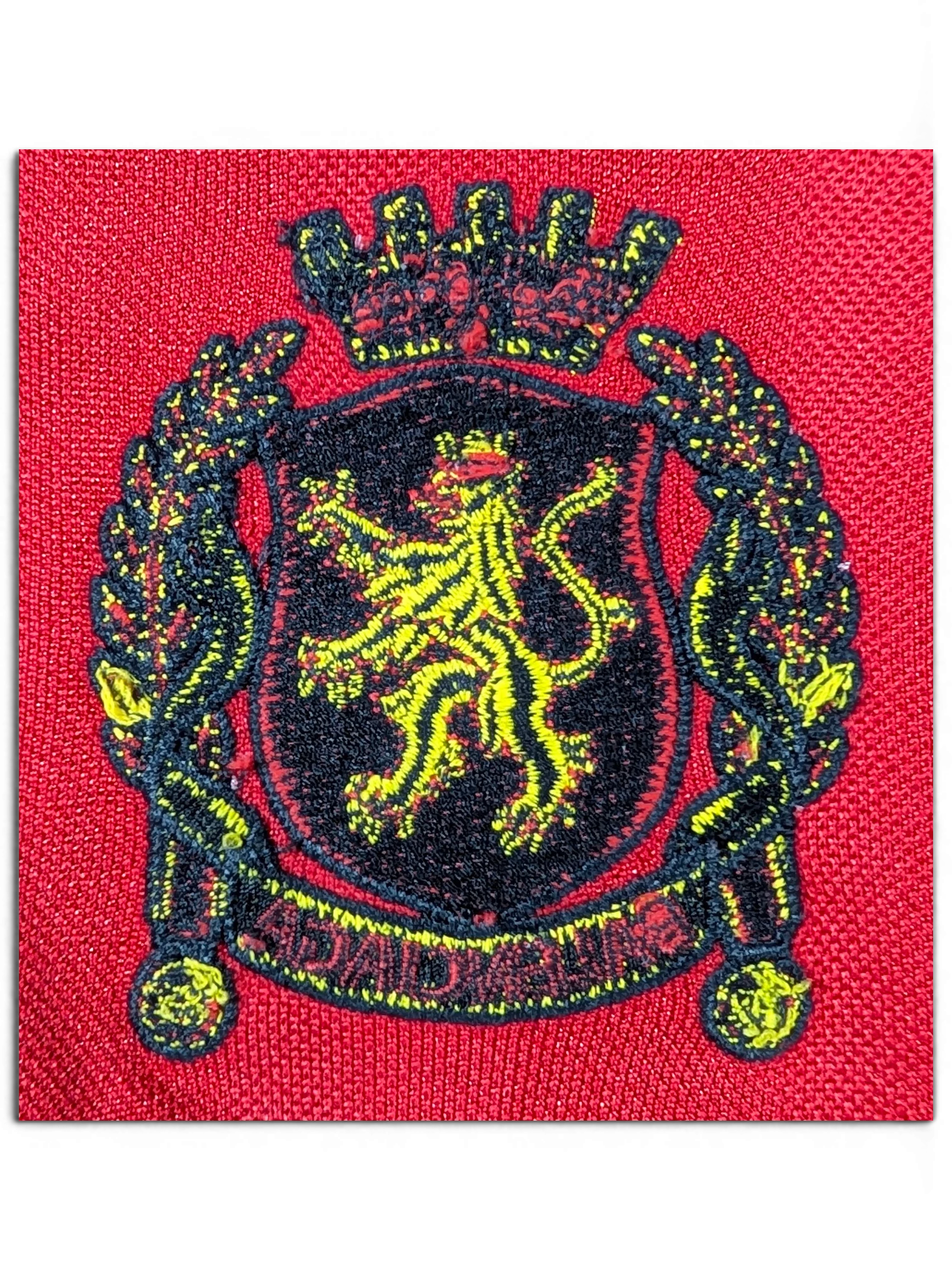 JAKE & IPI Balenciaga x Adidas jersey featuring a detailed red, black, and yellow embroidered lion crest logo.