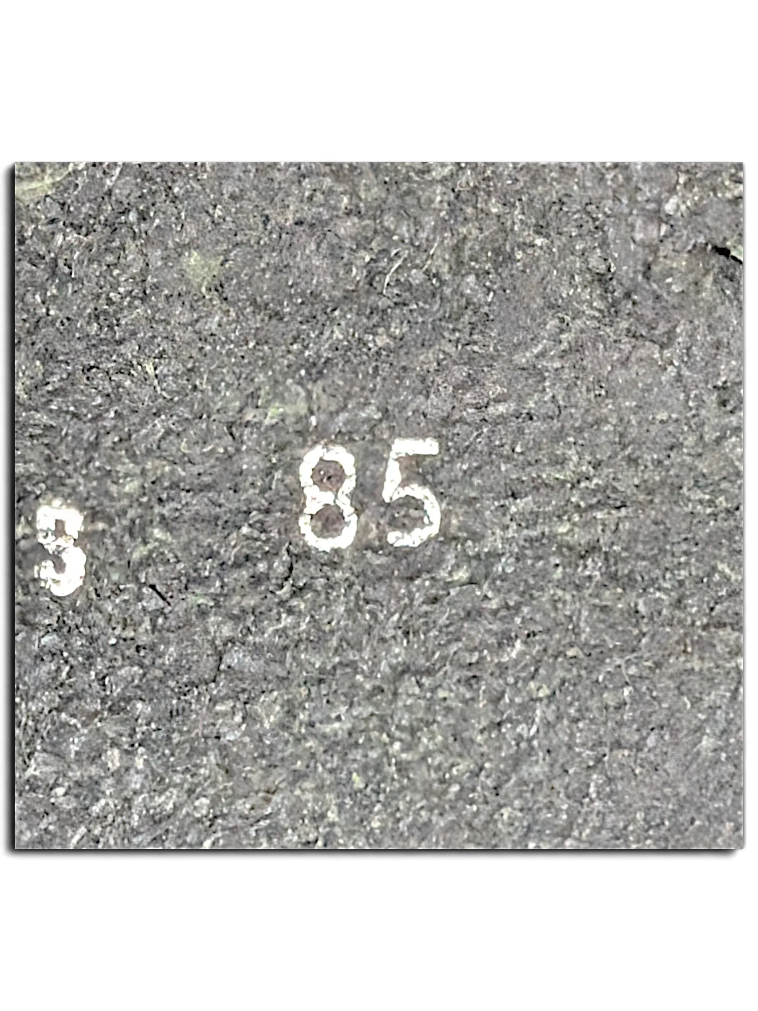 Close-up of the JAKE & IPI black leather belt showing the size 85 stamp on the textured material.