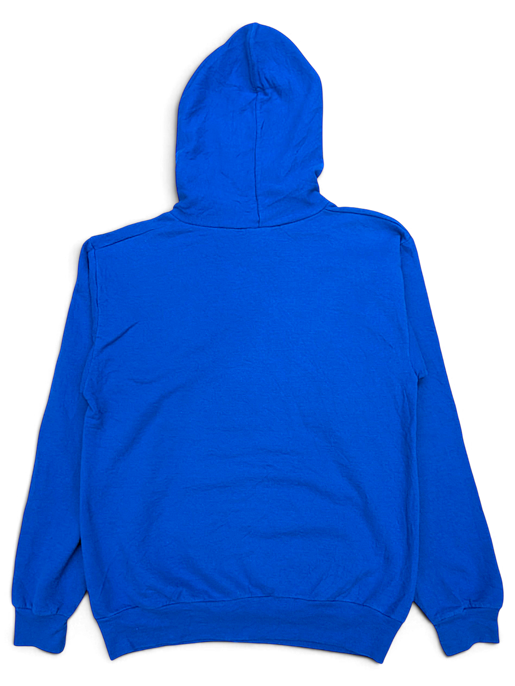 JAKE & IPI blue Donald Duck hoodie viewed from the back, featuring a simple pullover design and hood.