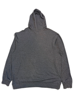 JAKE & IPI Lake Ann Brewing CO charcoal grey pullover hoodie, back view showing plain soft cotton blend fabric