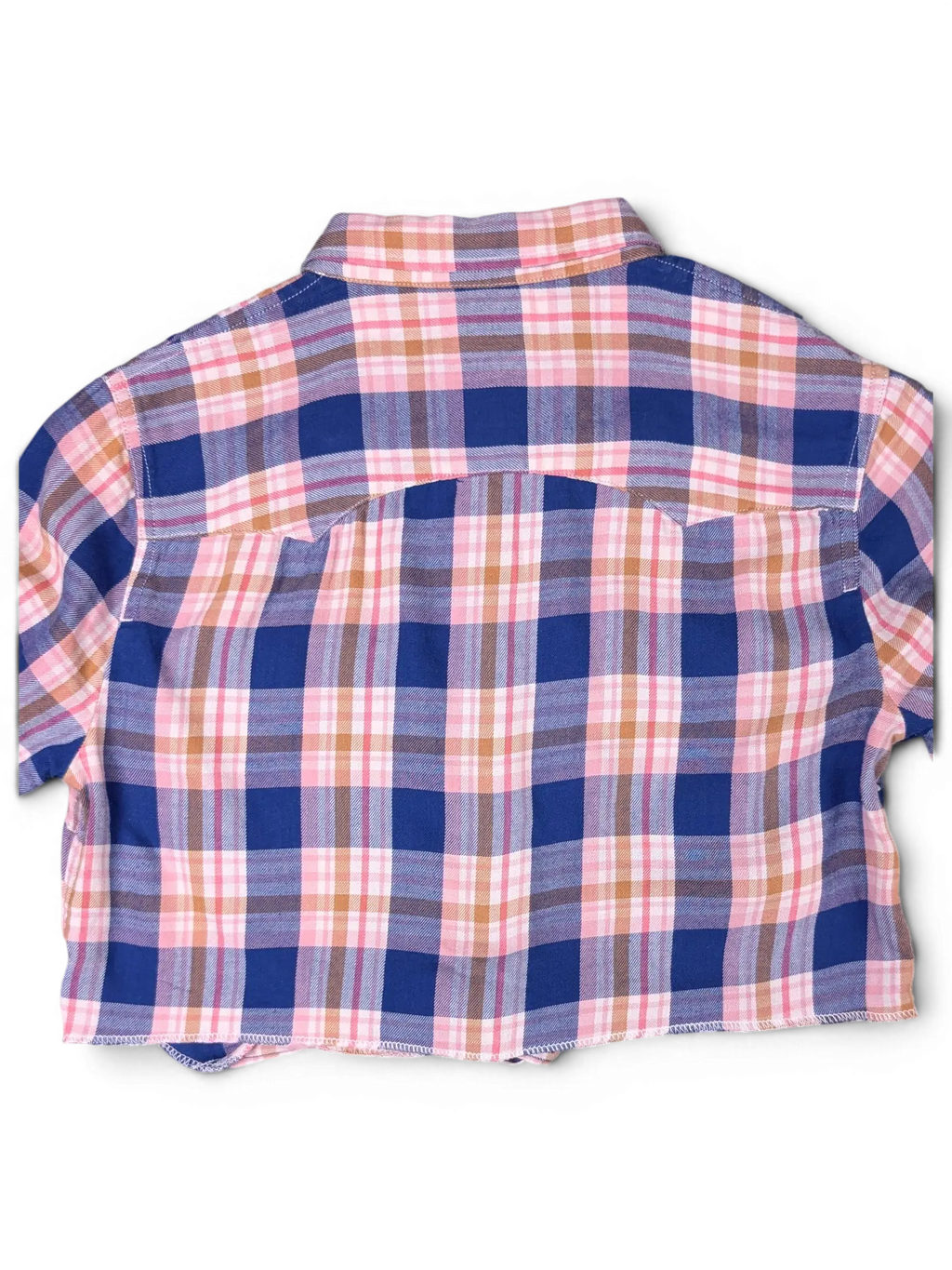 JAKE & IPI vintage cropped plaid long sleeve shirt in blue, pink, and beige with a raw hem, back view.