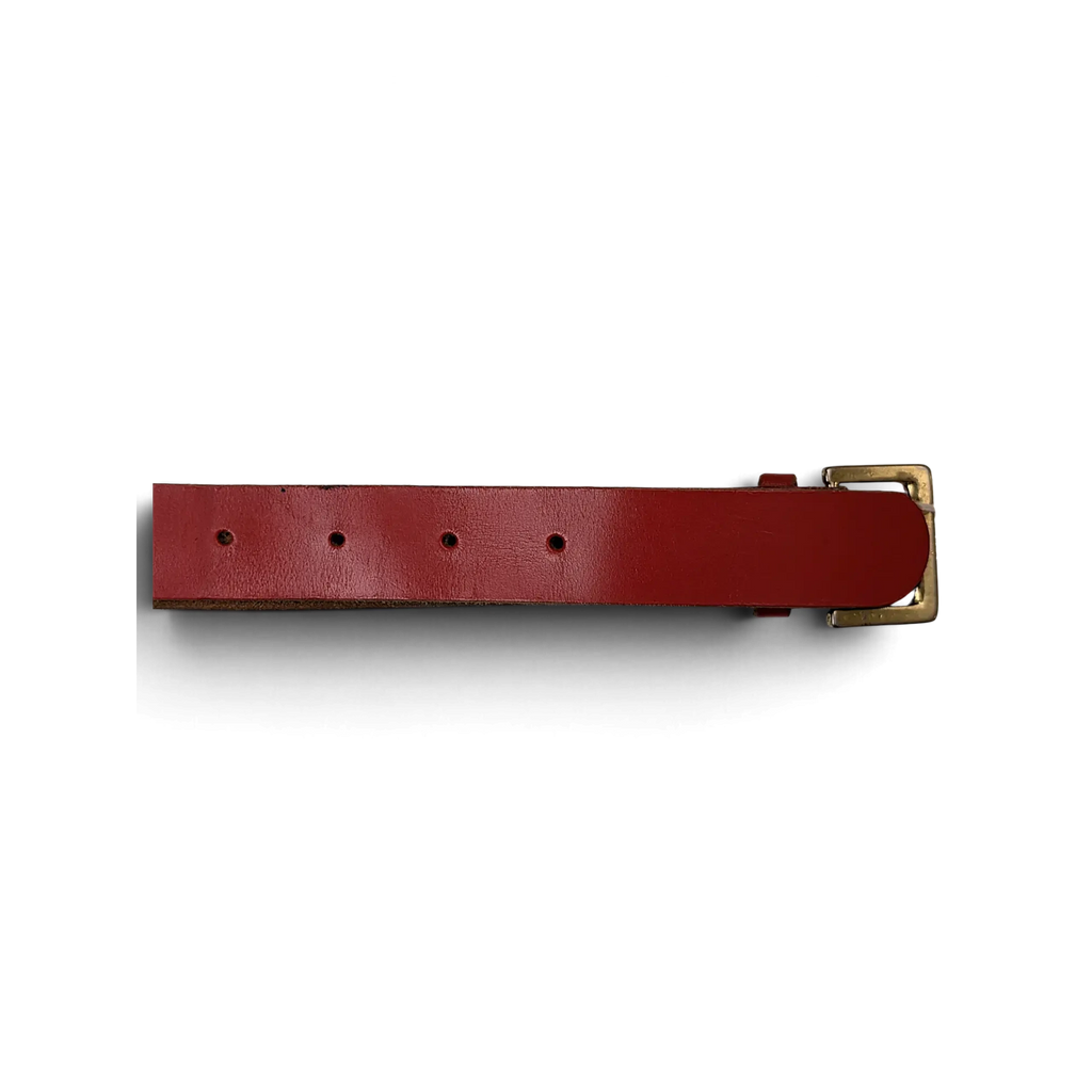 JAKE & IPI red leather belt featuring a gold-tone buckle and classic pin holes on a white background