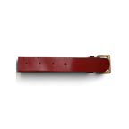JAKE & IPI red leather belt featuring a gold-tone buckle and classic pin holes on a white background