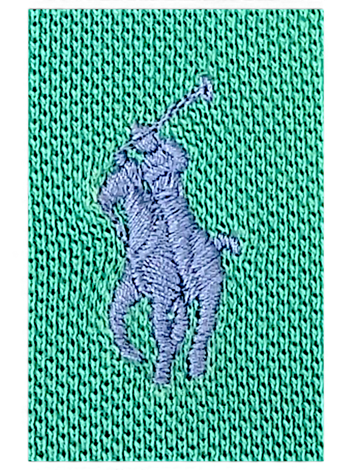 Polo Ralph Lauren embroidered pony logo on green cotton polo shirt
