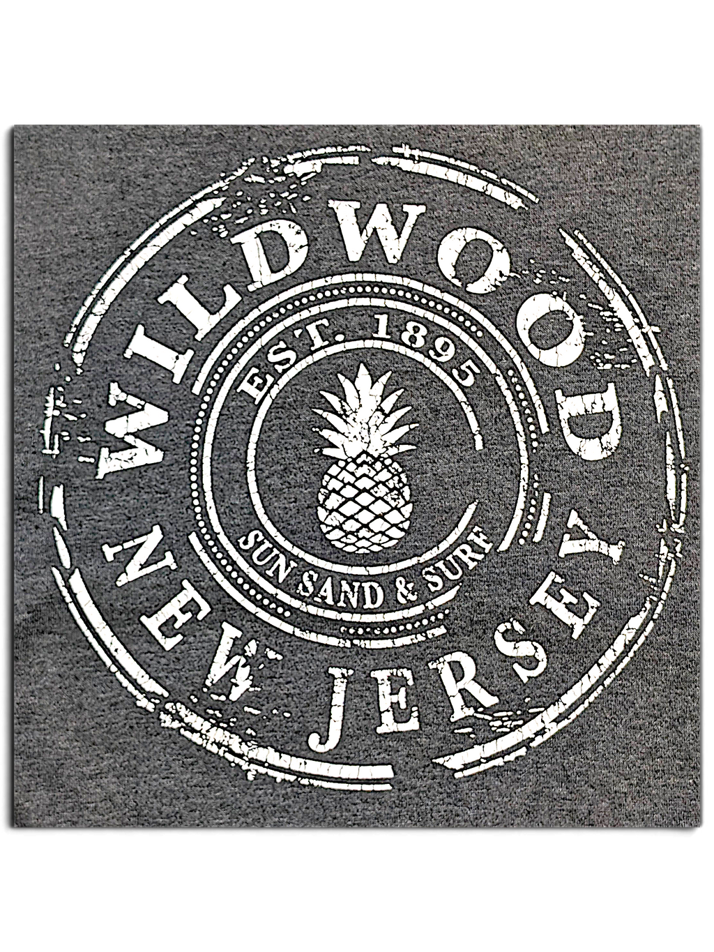 JAKE & IPI charcoal grey t-shirt featuring a distressed white circular Wildwood New Jersey graphic with a pineapple