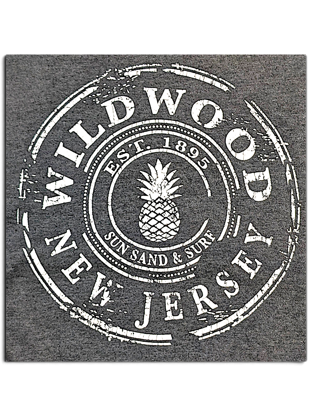 JAKE & IPI charcoal grey t-shirt featuring a distressed white circular Wildwood New Jersey graphic with a pineapple